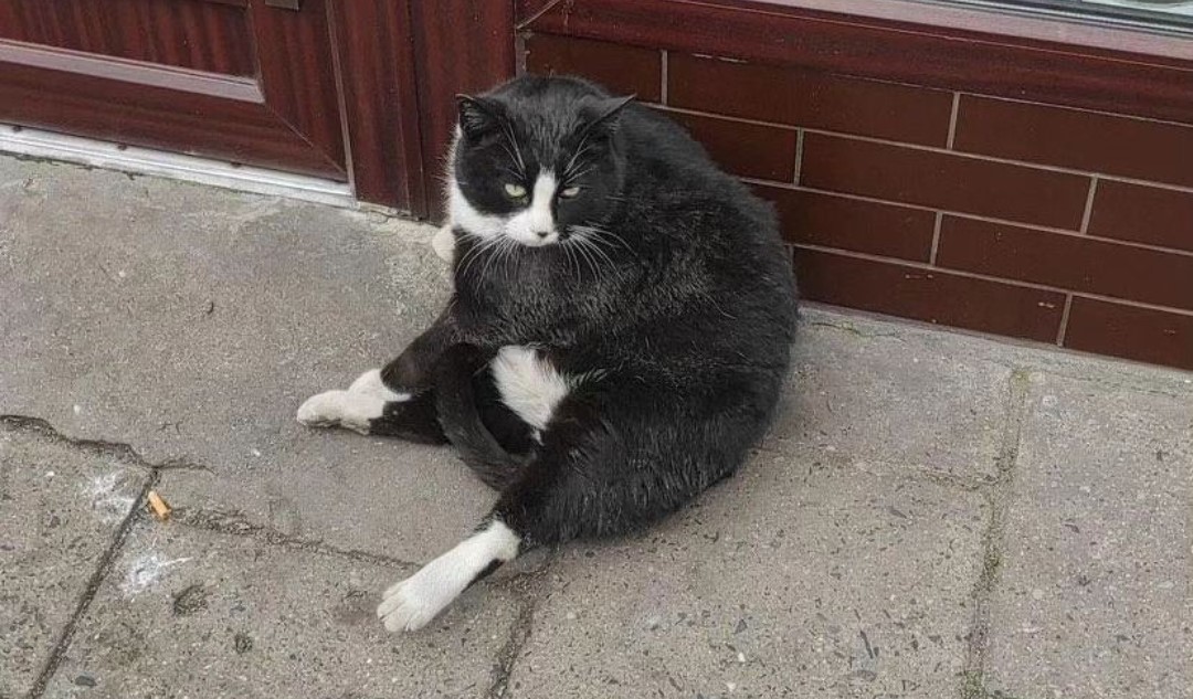 ""