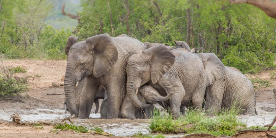 kzn tourism department